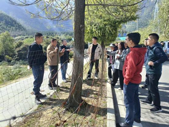 微信图片_20251120214954